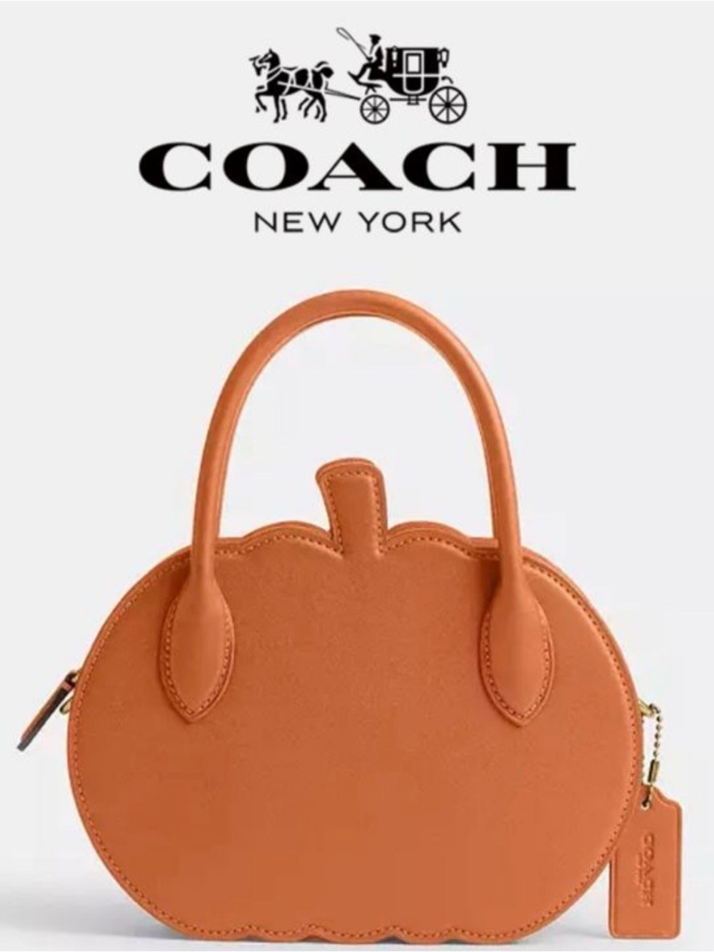 Coach Halloween Pumpkin Leather Crossbody Bag